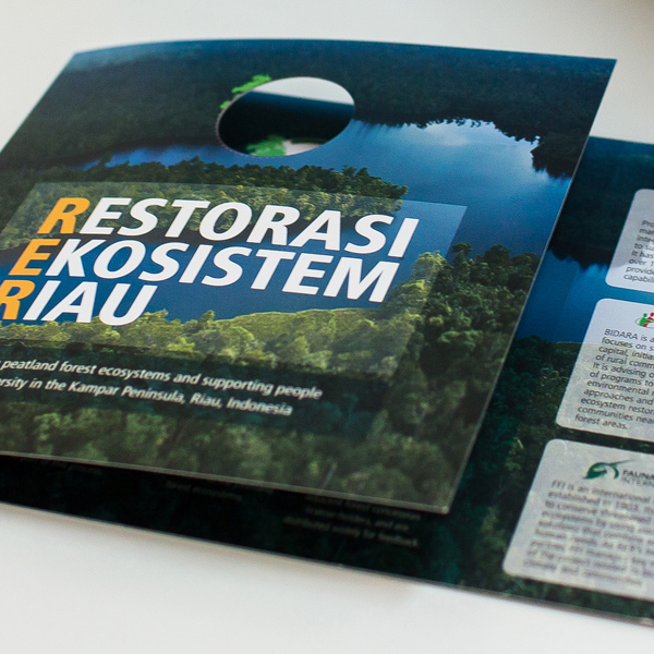 Print Design